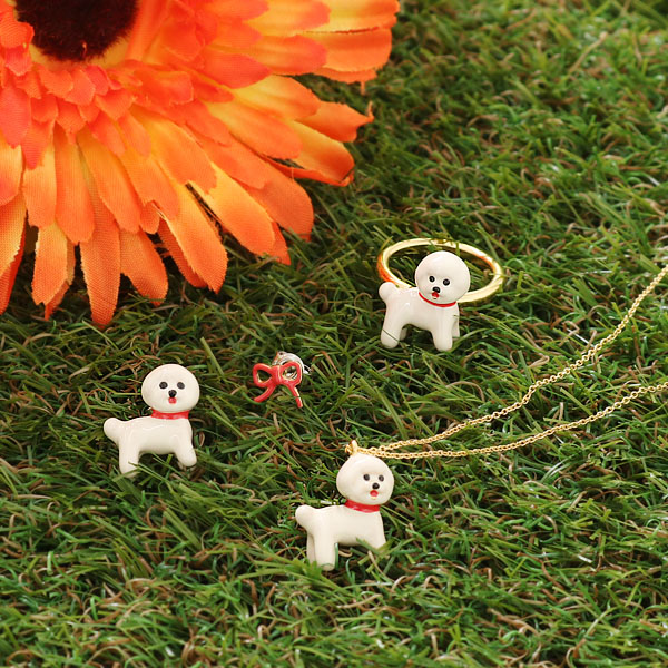 大人気のビションアクセが再入荷!
