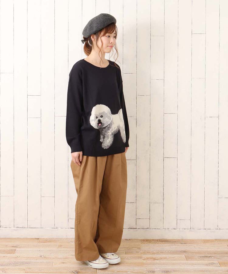 今日からビションを連れておさんぽ