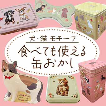 食べた後も楽しめる！