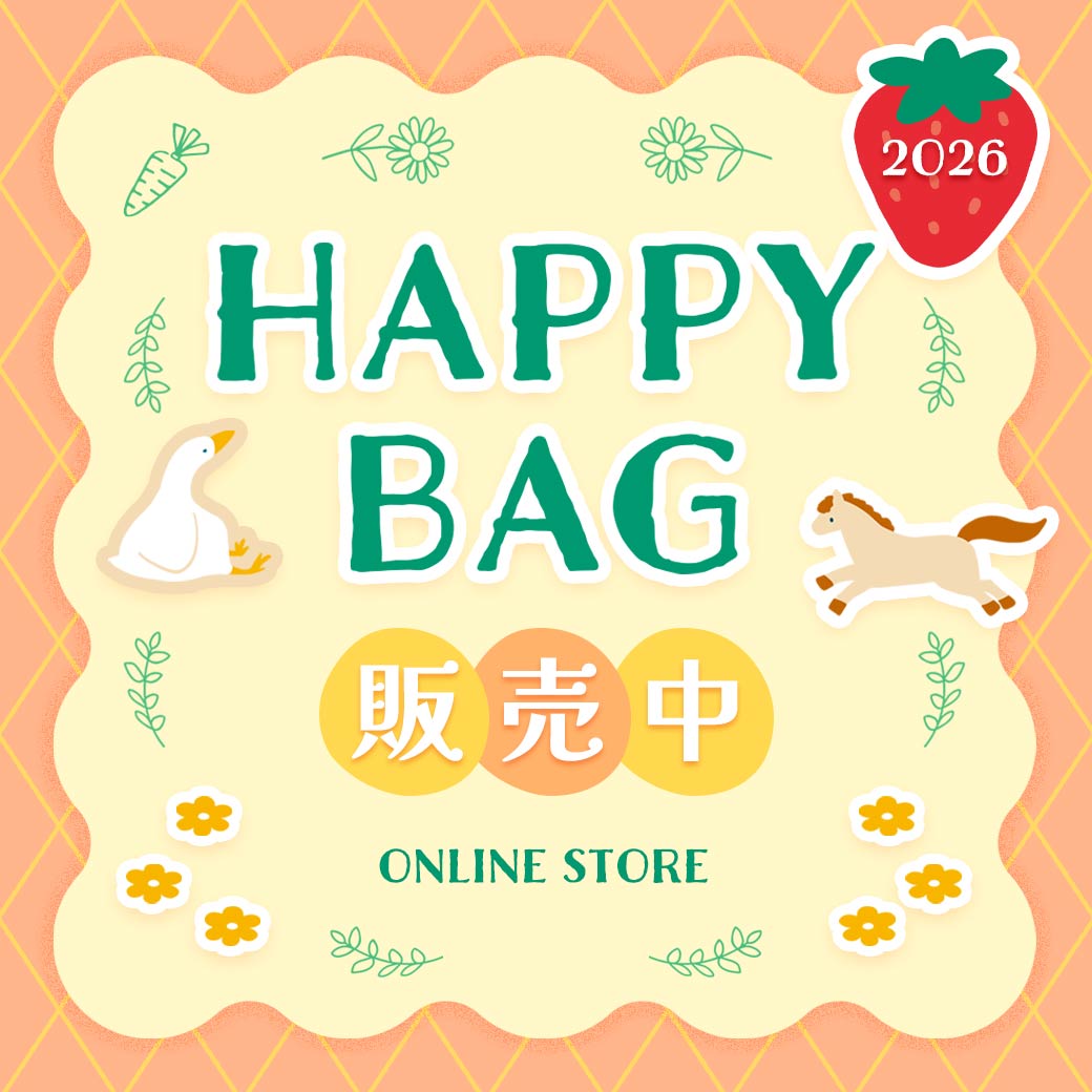 【なくなり次第終了】HAPPY BAG