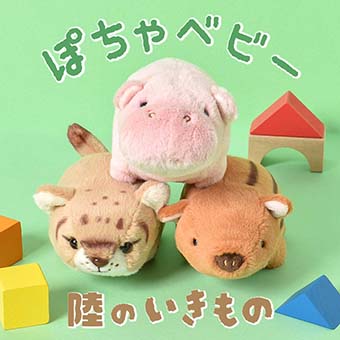 ぽちゃベビー陸のいきもの