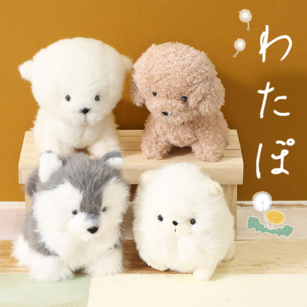 綿毛のようなふわふわ「わたぽ」