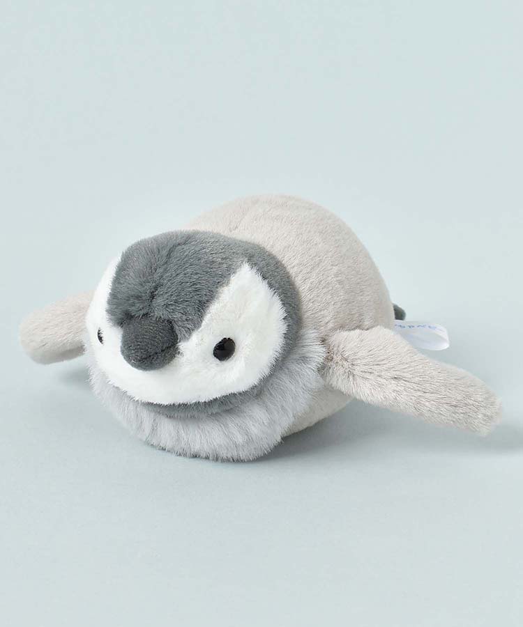 ぽちゃベビー海のいきもの