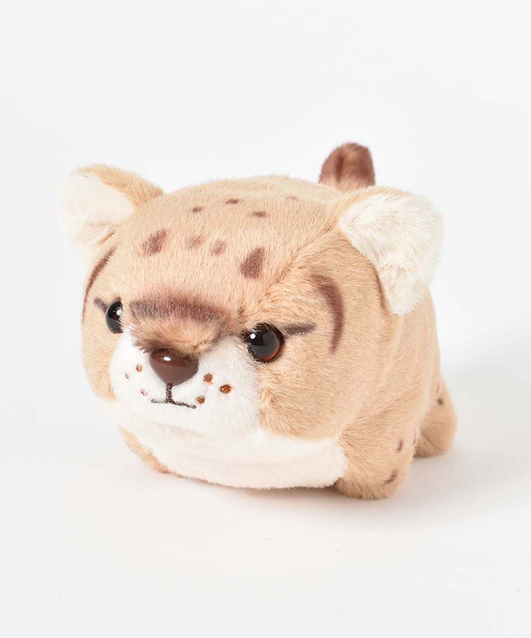 Bleu Bleuet（ブルーブルーエ）