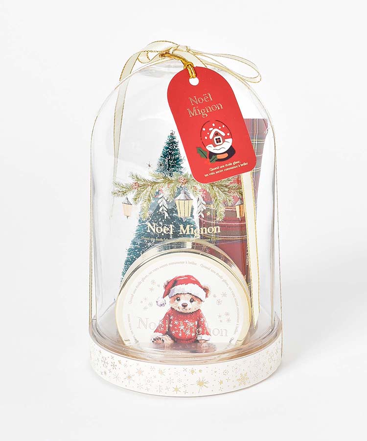 ノエルミニョンドームギフト