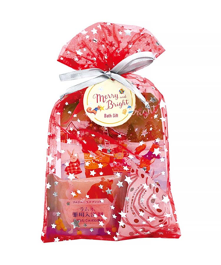 メリーブライトオーガンジーセット