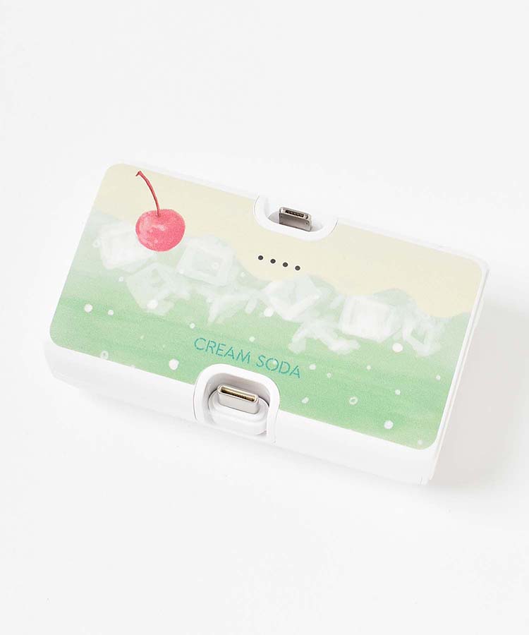 【WEB限定】コネクタ付きリチウム充電器4000mAh