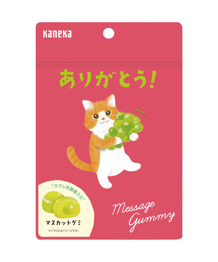 メッセージグミ