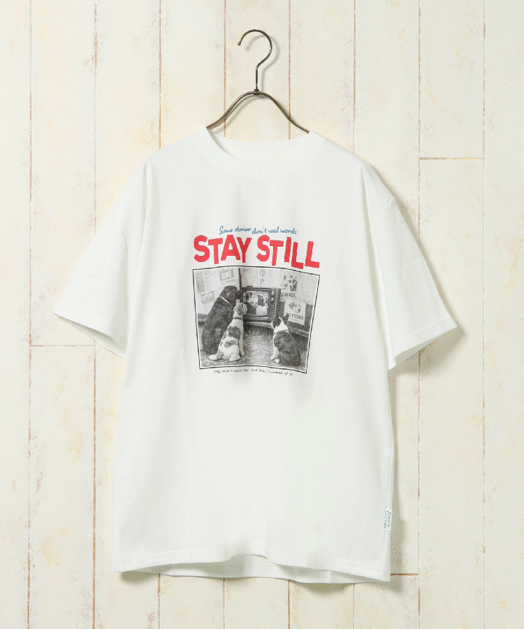dogフォトTシャツ