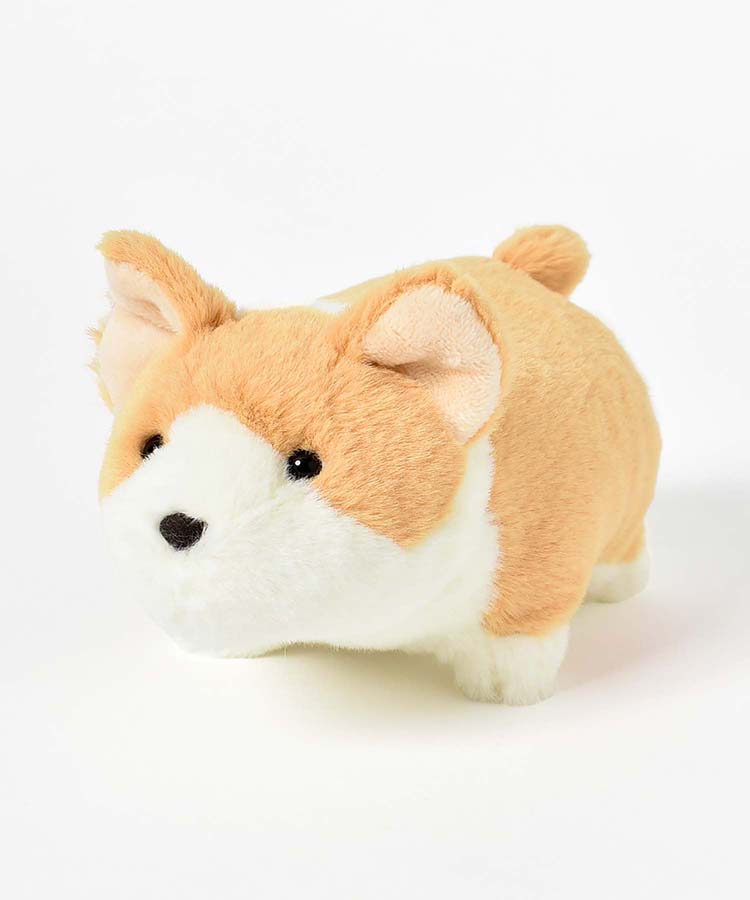 ショートレッグぽちゃ