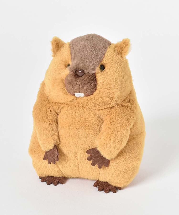 【WEB予約 12/24～順次発送】げっ歯類ぽちゃ