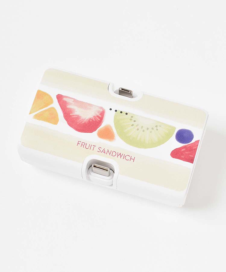 【WEB限定】コネクタ付きリチウム充電器4000mAh