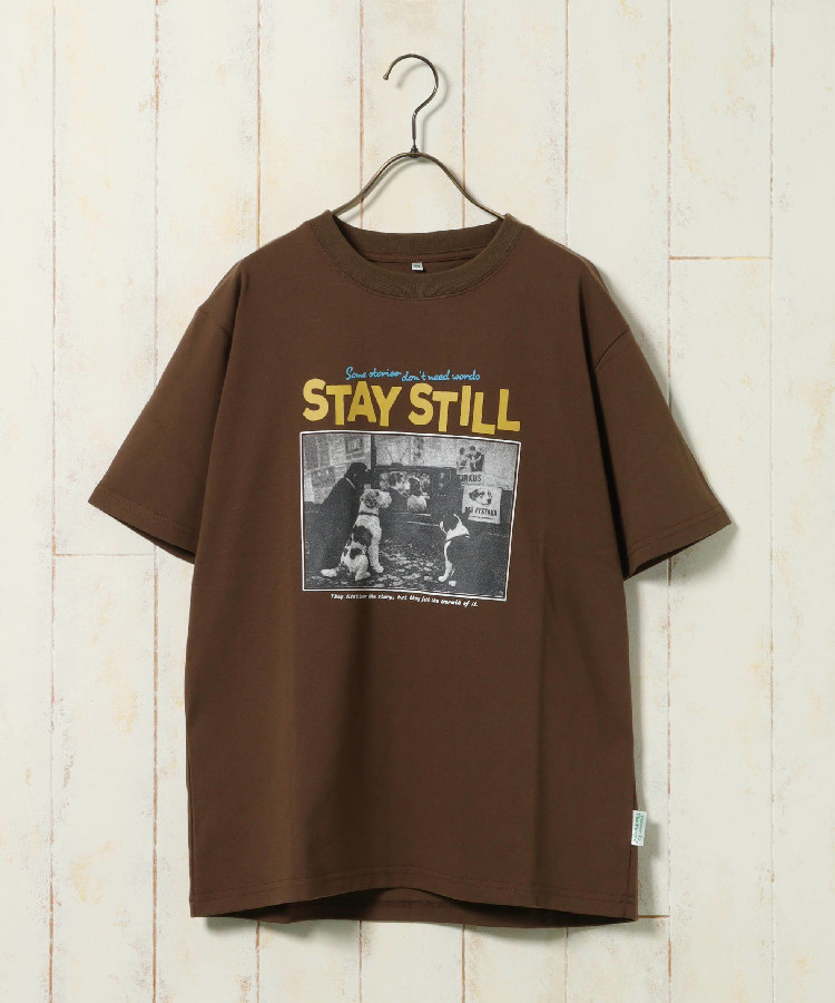 dogフォトTシャツ