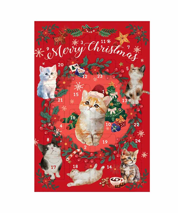 エウレカ アドベントA5