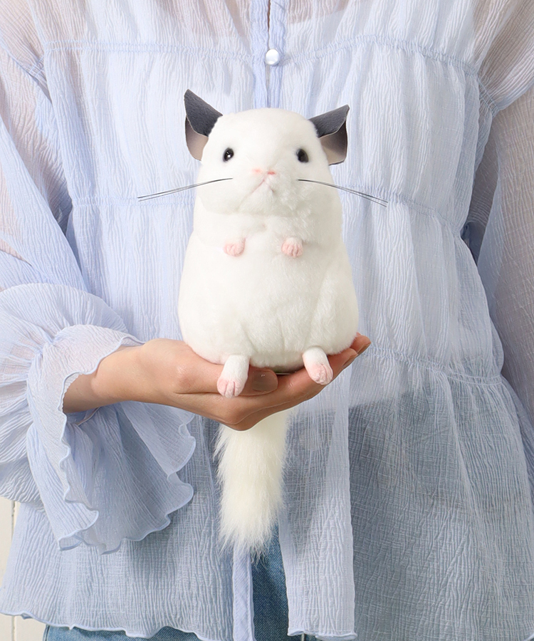 チンチラそっくりぬいぐるみ