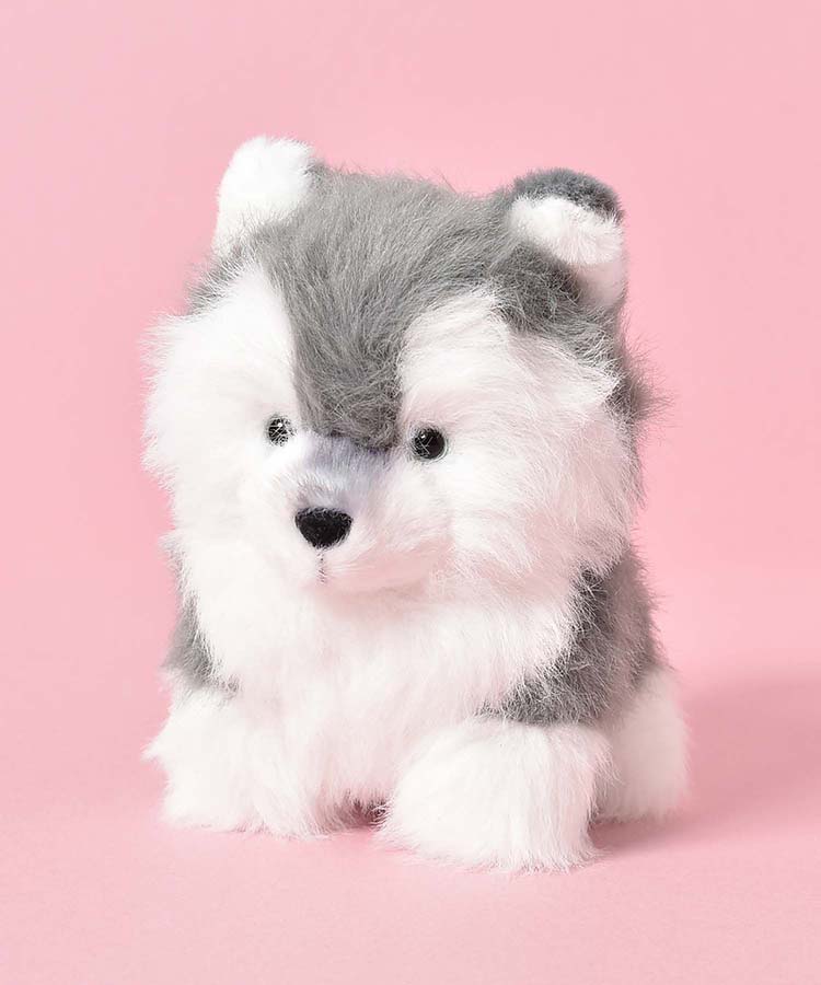 わたぽイヌぬいぐるみ