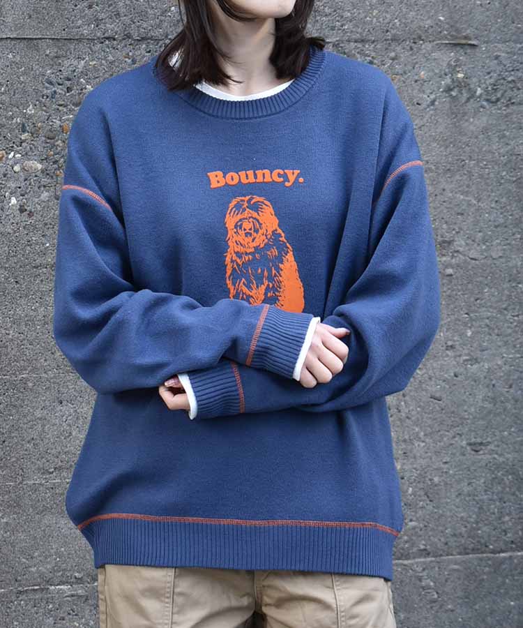 Bouncy.フロッキープリントニットプルオーバー