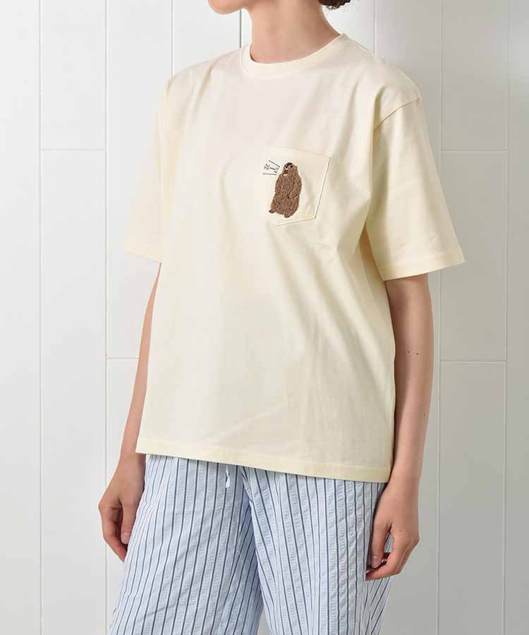 マーモットサガラTシャツ