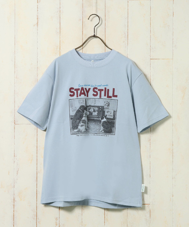 dogフォトTシャツ