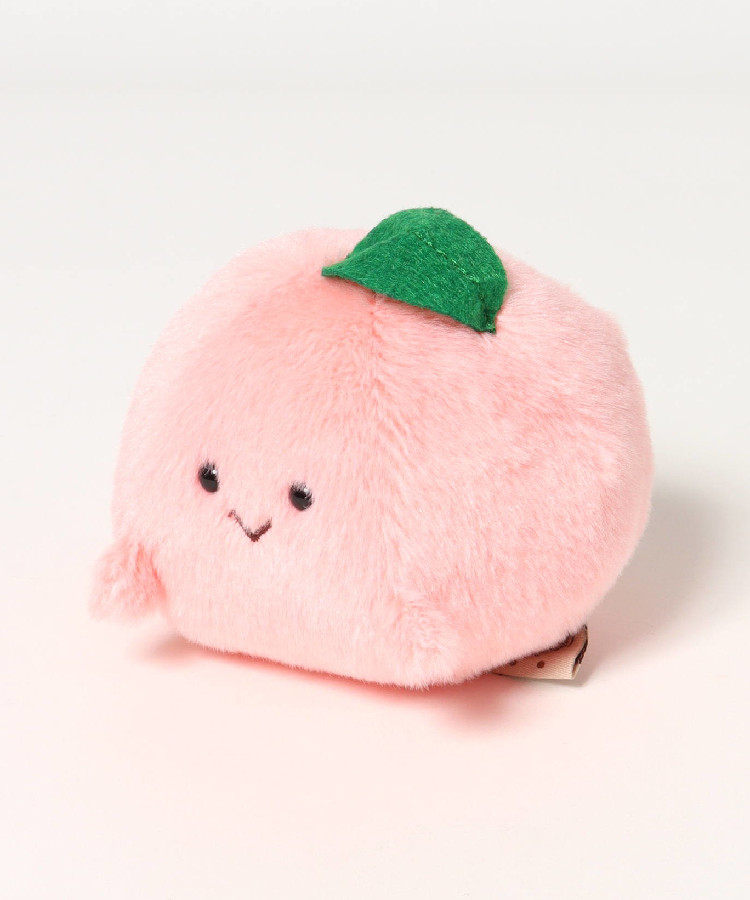 【WEB予約 8/6～順次発送】夏のもぎたてぽちゃ