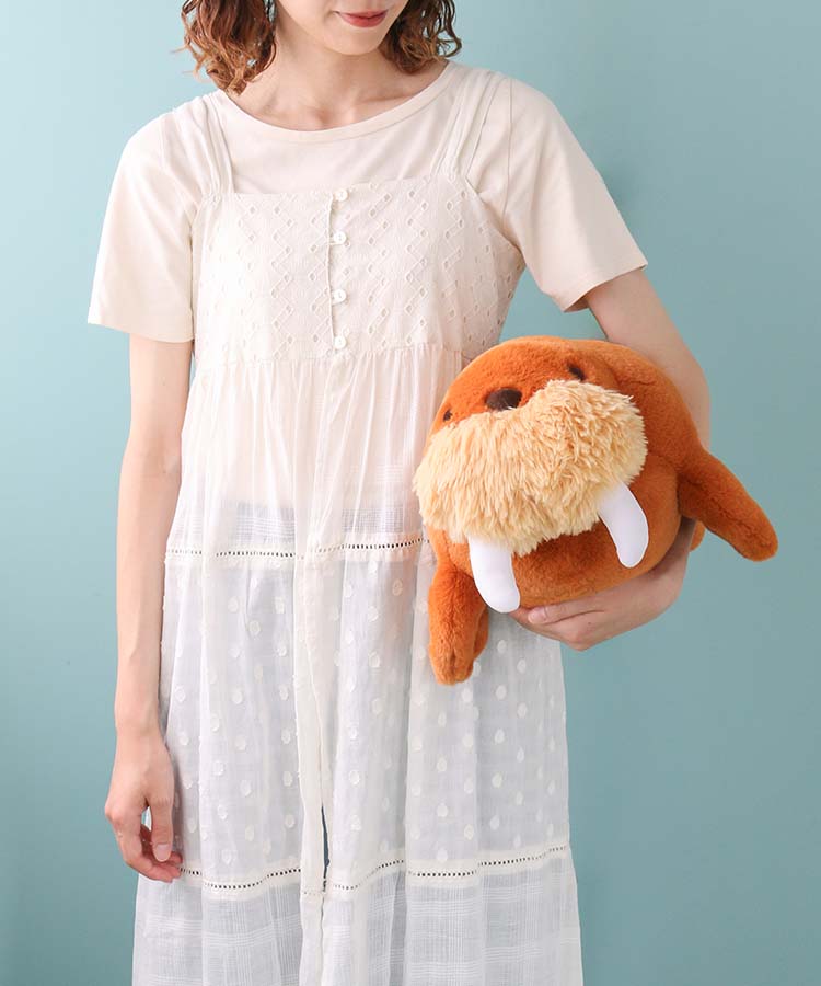 【WEB予約 7/15～順次発送】海中散歩もちだっこクッション