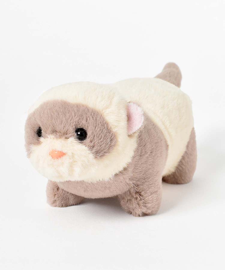 ショートレッグぽちゃ