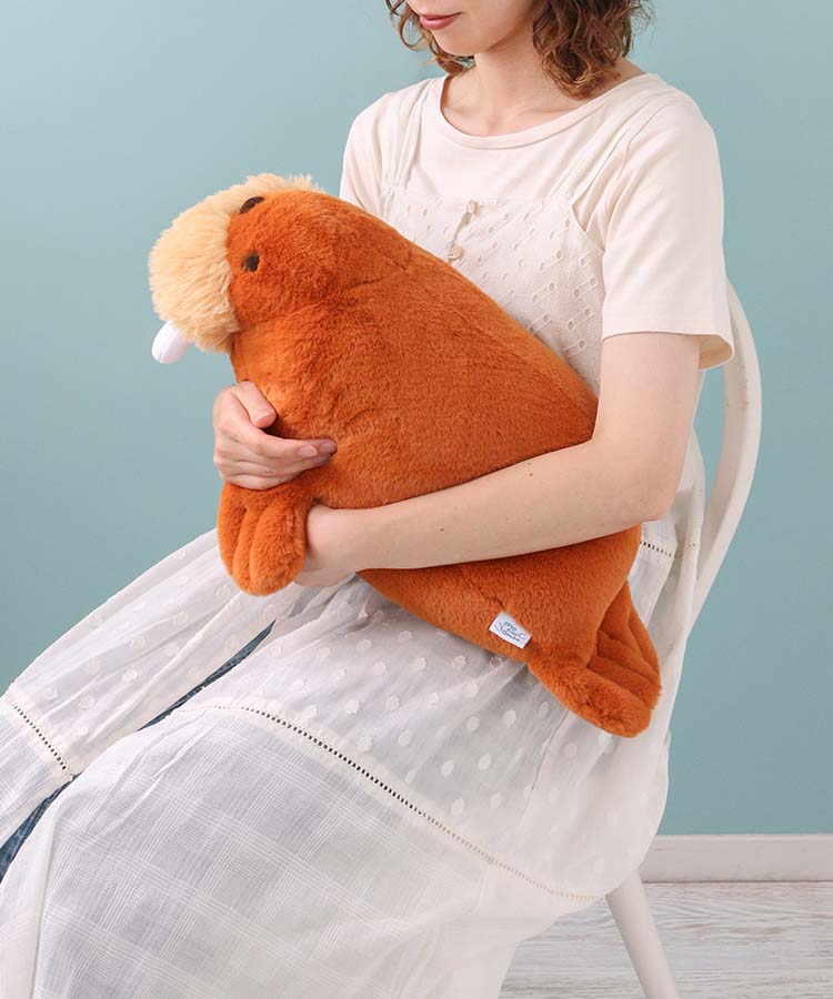 【WEB予約 7/15～順次発送】海中散歩もちだっこクッション