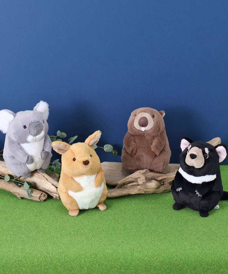 ぬいぐるみ　ウォンバット　カモノハシ　カンガルー　コアラ　オーストラリア オーストラリアのどうぶつぽちゃ ぬいぐるみ キャラクター