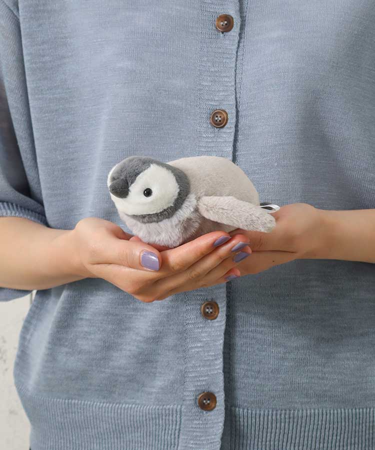 ぽちゃベビー海のいきもの