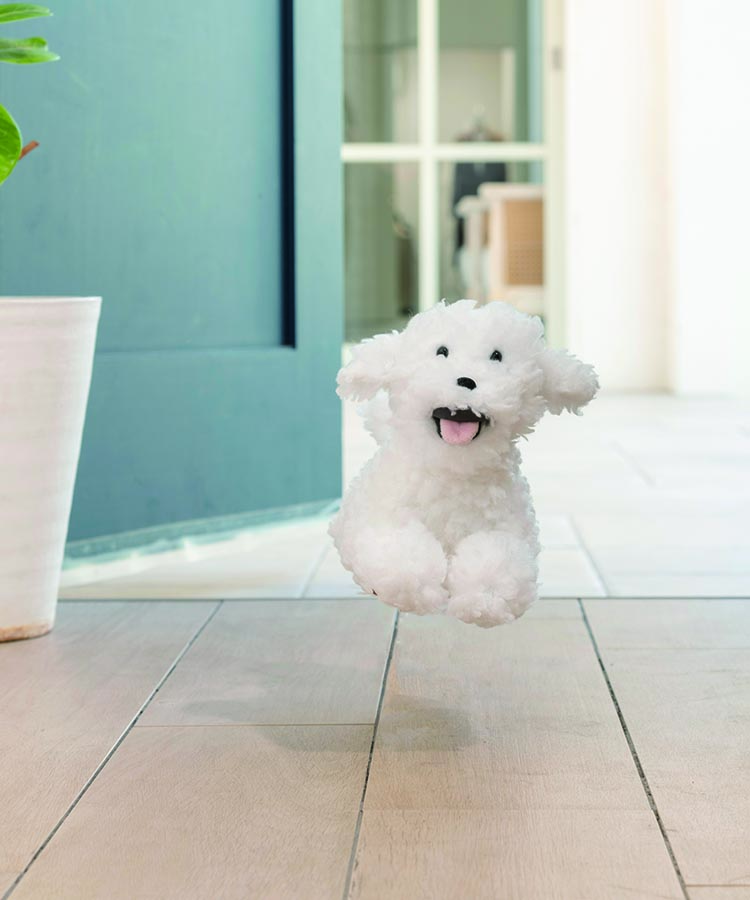 フラッピーウェルカムクッション