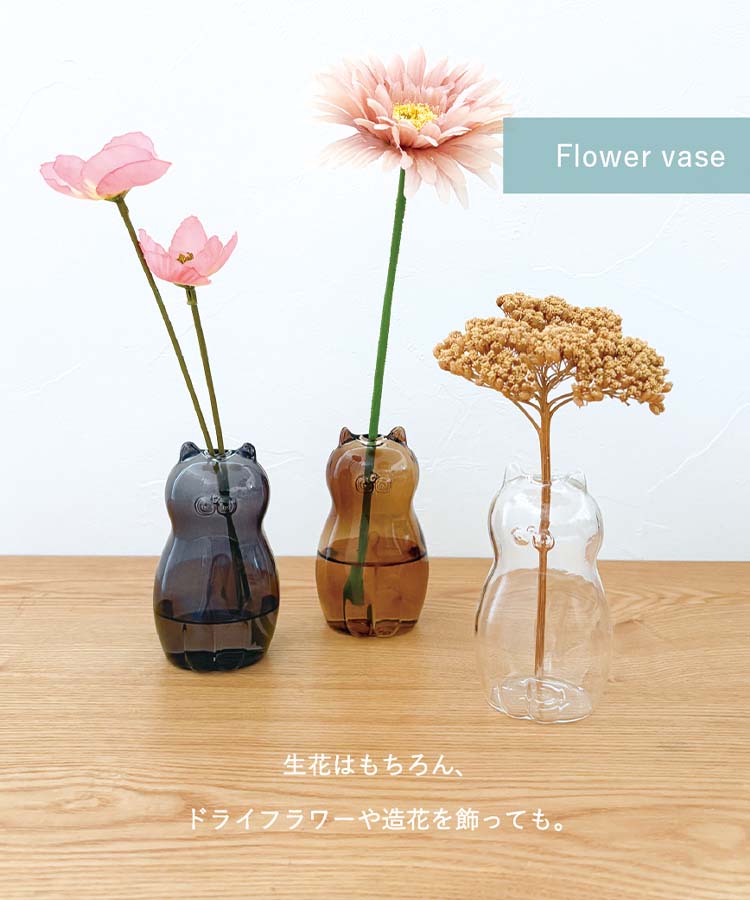 グラスキャットベース