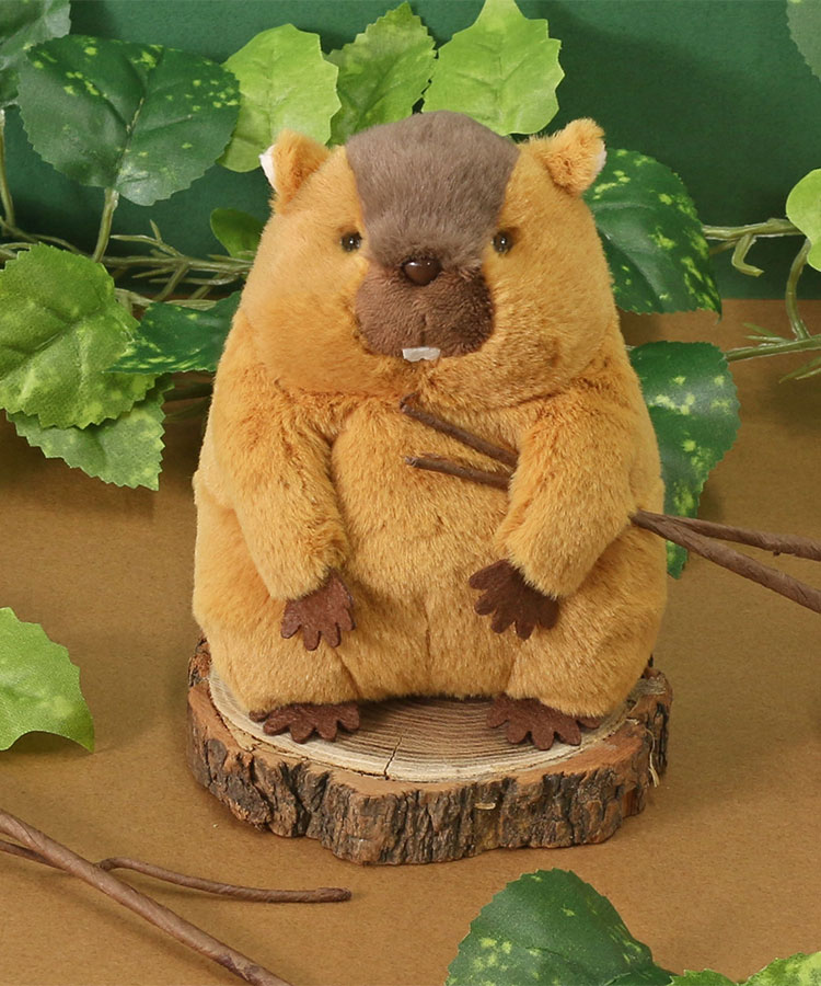 【WEB予約 12/24～順次発送】げっ歯類ぽちゃ