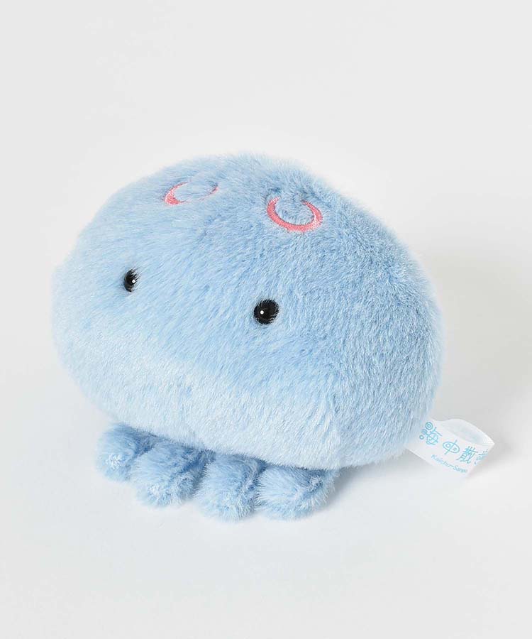 海中散歩ぽちゃまる