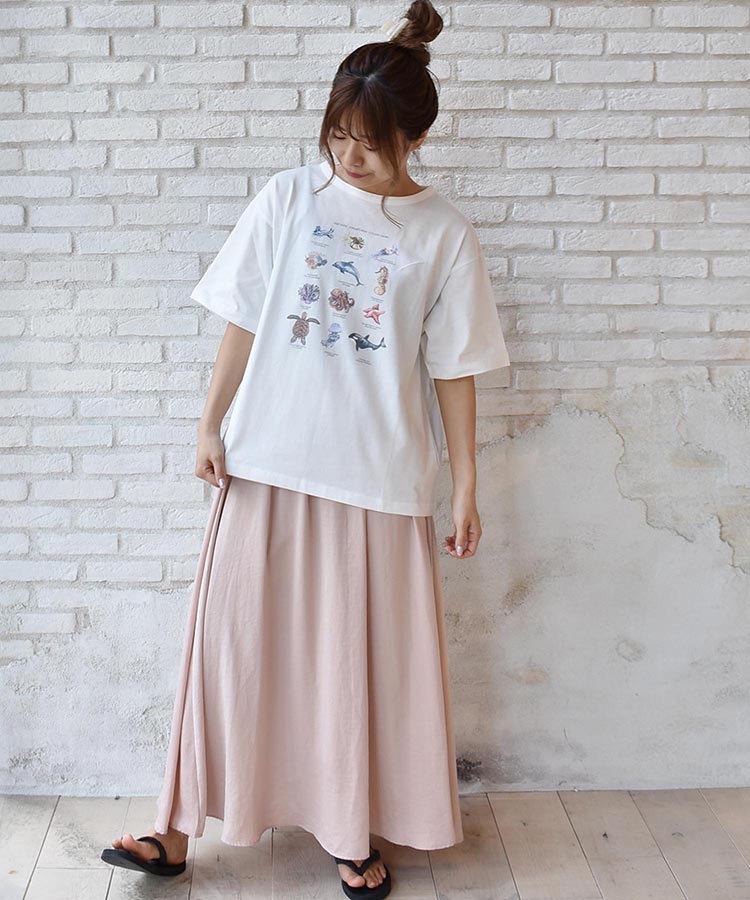 ≪SALE≫海の生き物図鑑Tシャツ