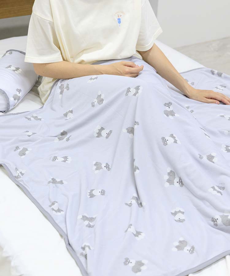 ≪SALE≫フレスコ冷感マルチブランケット