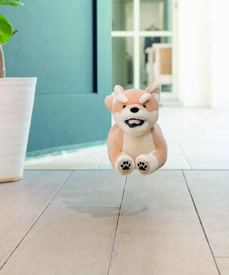 フラッピーウェルカムクッション