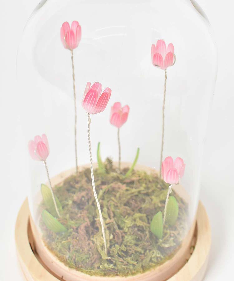 【WEB限定】LUMOチューリップガラスドームS