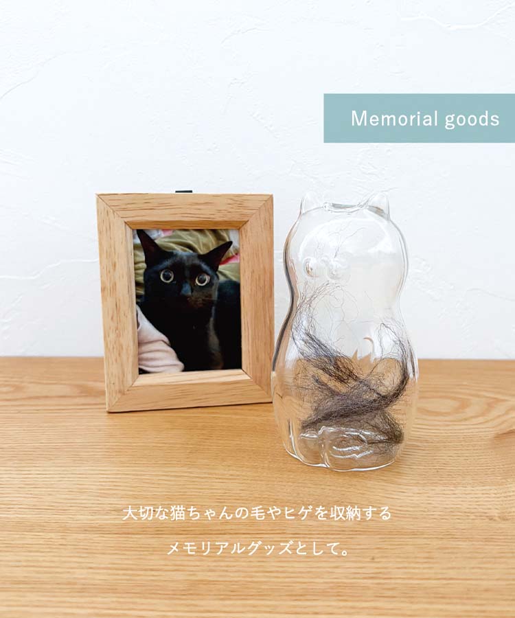 グラスキャットベース