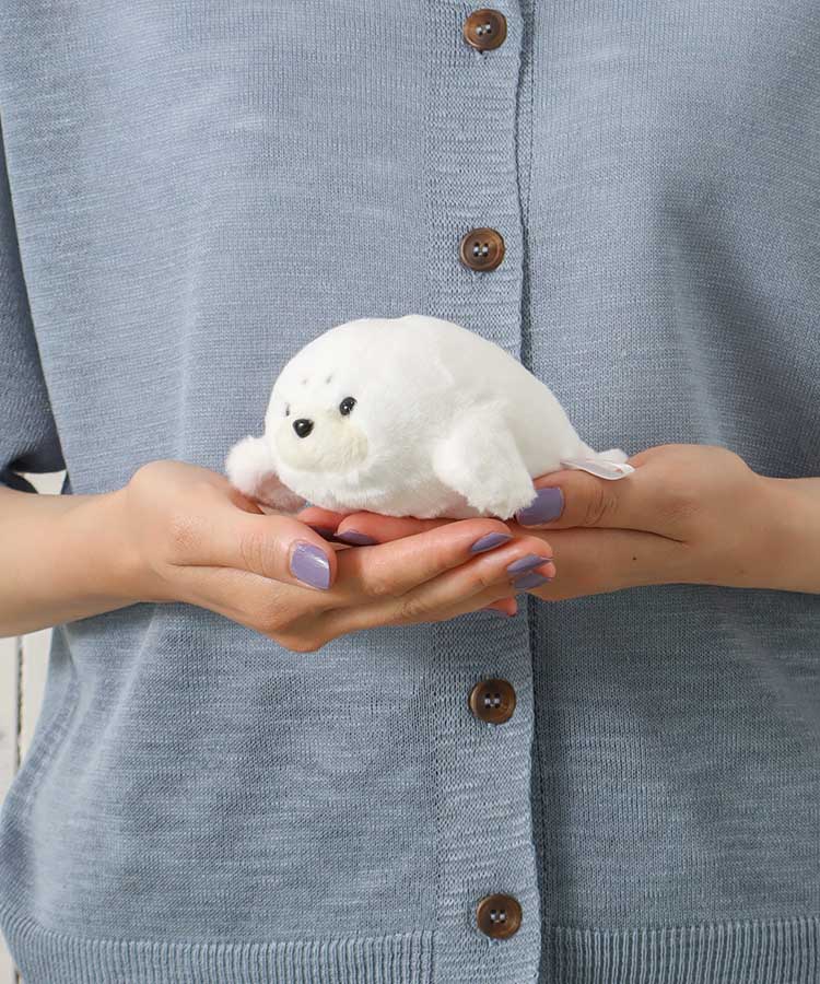 ぽちゃベビー海のいきもの