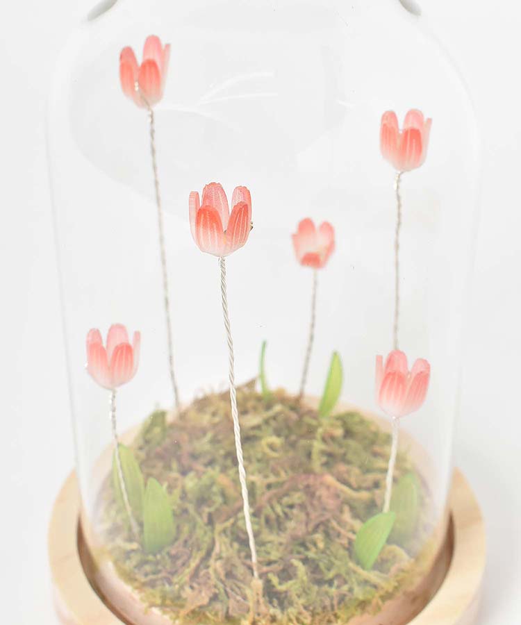 【WEB限定】LUMOチューリップガラスドームS