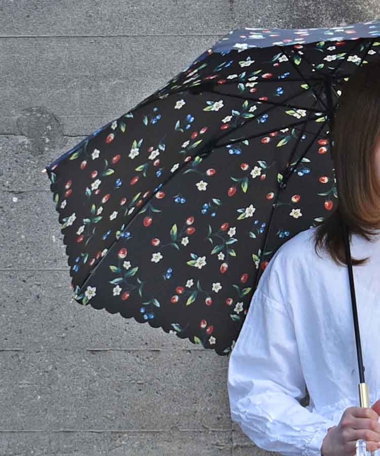 ストロベリーガーデン雨長傘