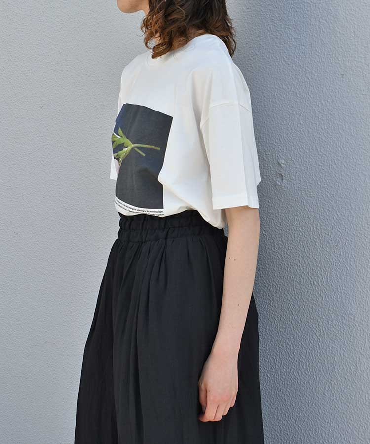 フォトグラフTシャツ