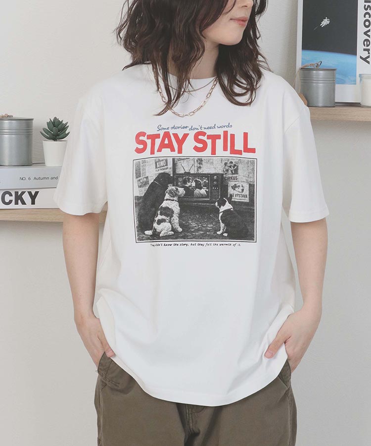 dogフォトTシャツ