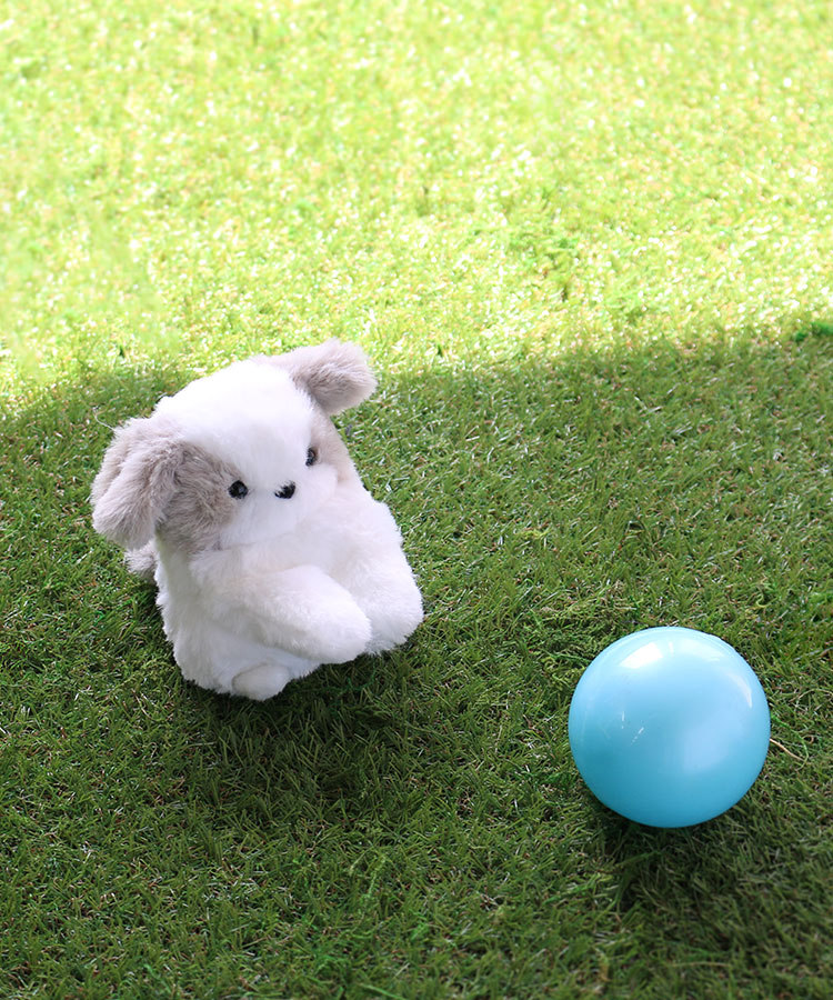 ぽちゃいぬぬいぐるみ