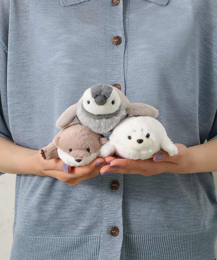 ぽちゃベビー海のいきもの