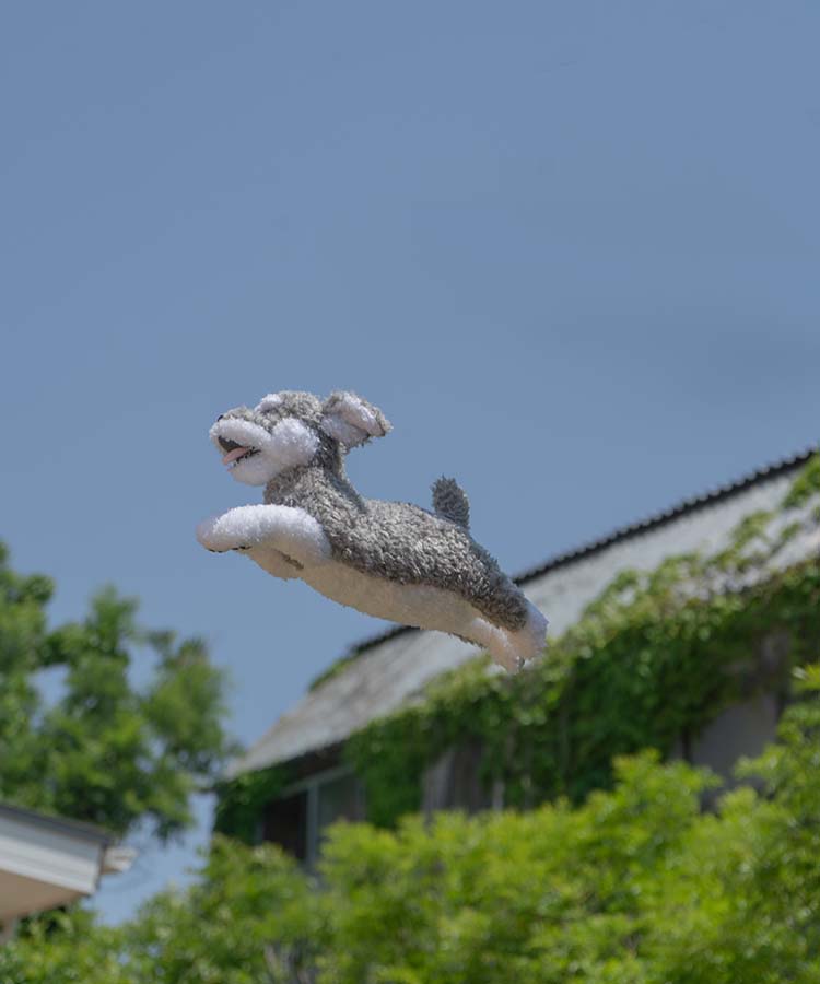 フラッピーウェルカムクッション