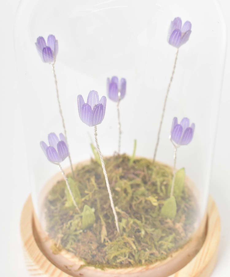 【WEB限定】LUMOチューリップガラスドームS