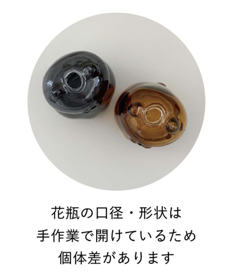 グラスキャットベース