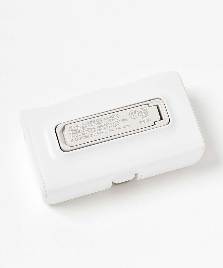 【WEB限定】コネクタ付きリチウム充電器4000mAh