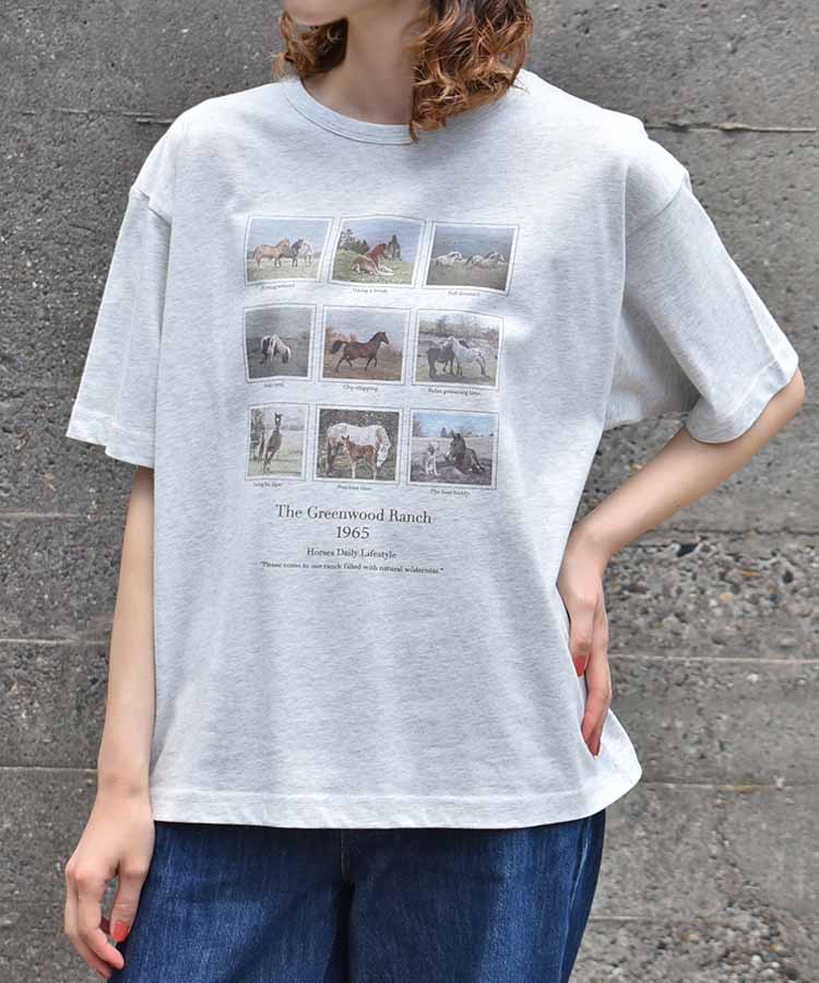 HORSEフォトTシャツ